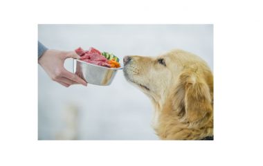 Про користь натурального харчування для тварин