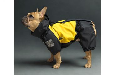 YSH виробник одягу для собак, Харків