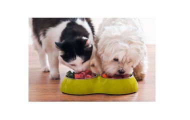 Яловичина для собак і котів