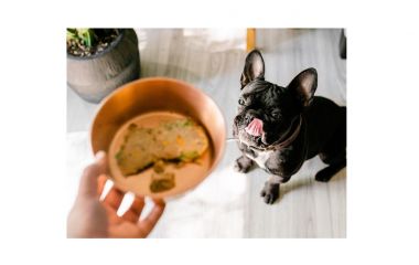 Птиця в раціоні тварин