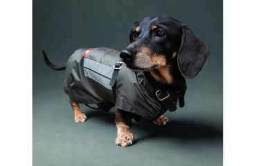 Одяг та автогамаки для собак від виробника YSH, Харків