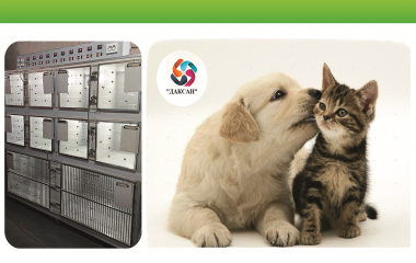 Даксан – високоякісні ветеринарні клітки