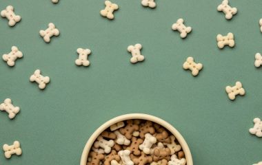 Ласощі для собак