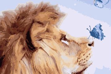 Виставка собак усіх порід САС 2025 Львів