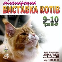 Міжнародна виставка котів 2026 у Львові