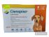 Жувальні таблетки для собак Сімпаріка 20 мг від 5 до 10 кг, 1 таблетка (від зовнішніх паразитів)